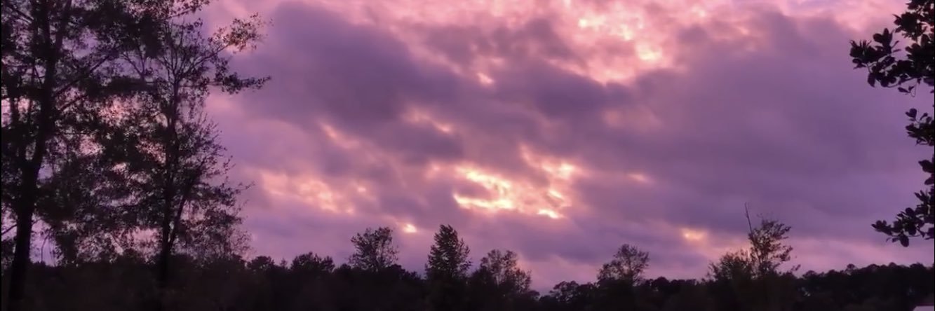 Mwilds60's profile banner image