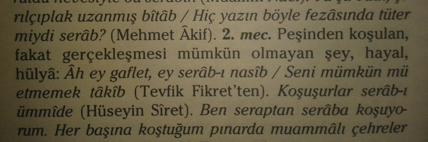 Serap Sahin Durak banner
