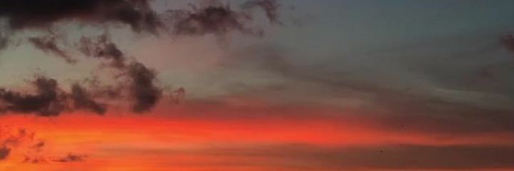 𝕋𝕄 🥑 banner