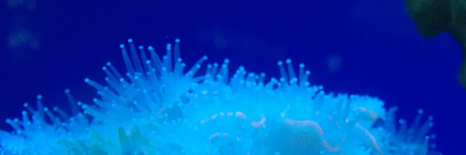 alfiiL94's profile banner image