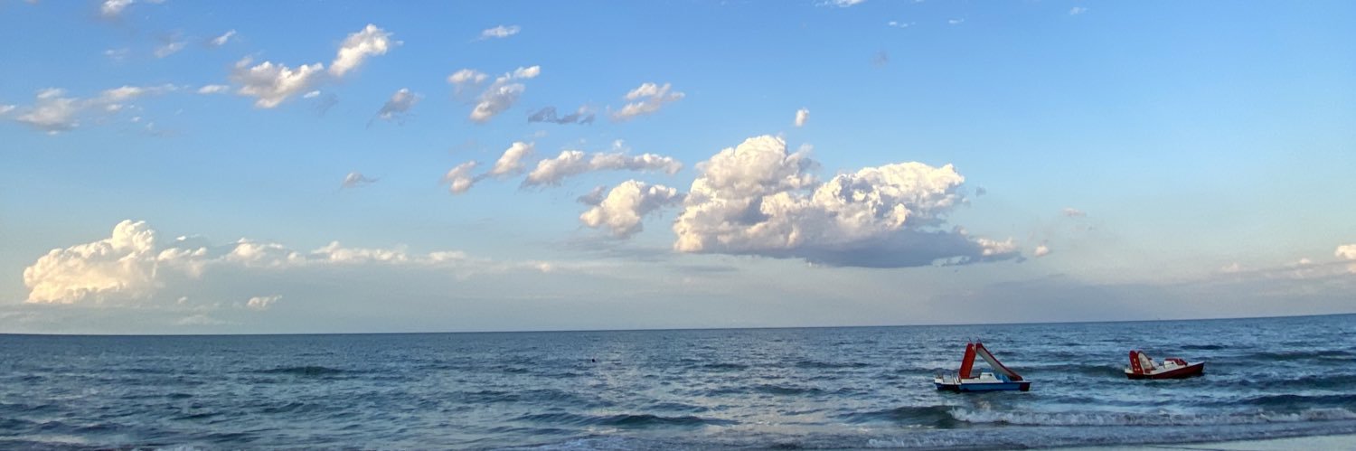 celemazzi's profile banner image