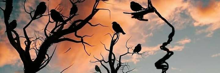 Vibhanshu30's profile banner image