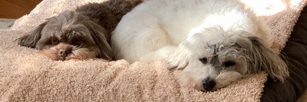 Bettsy41 Profile Banner