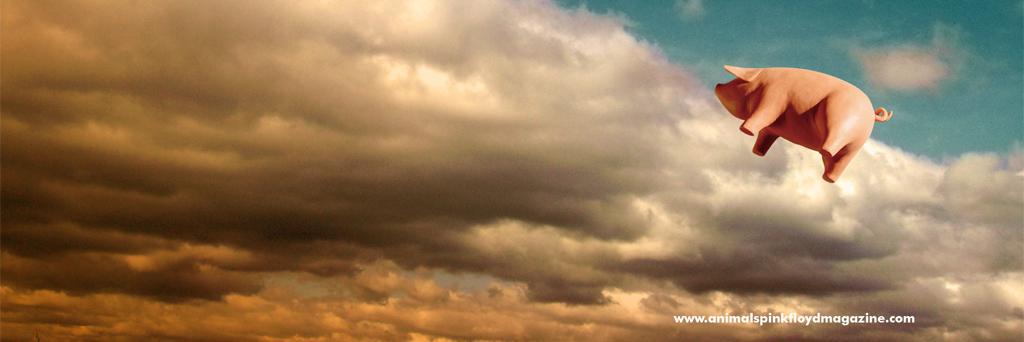 Tristán ® banner