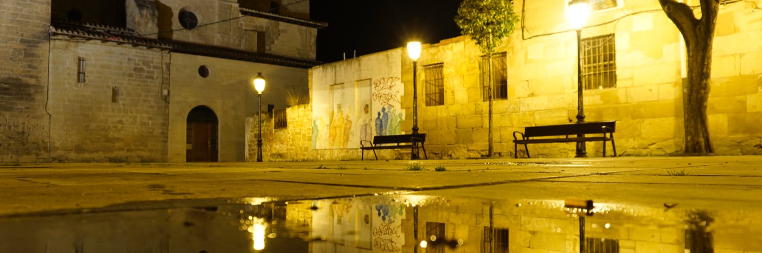 Yoli banner