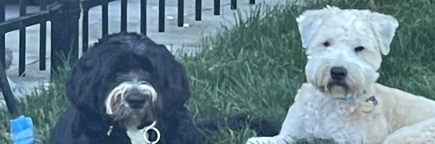 AvraamGeorge's profile banner image