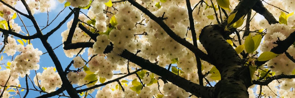 kjtams's profile banner image