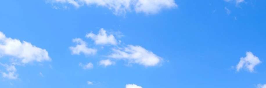 Harm Ede Botje banner