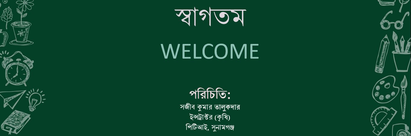 SajibTalukdar's profile banner image