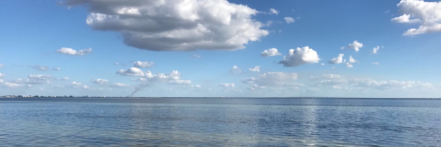 TrueBlueFan23's profile banner image