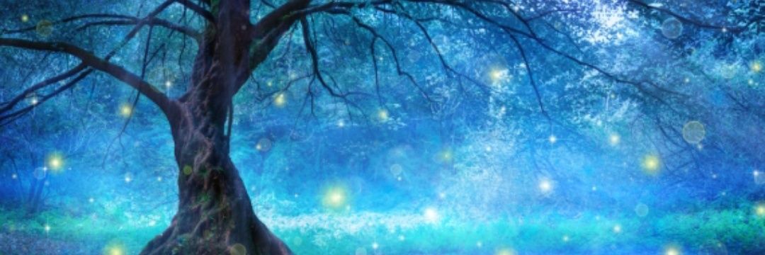 luna0lu's profile banner image