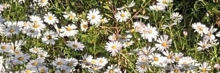 Valentinas197's profile banner image