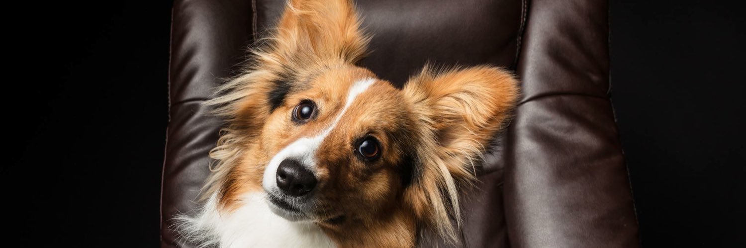 CoralReese's profile banner image