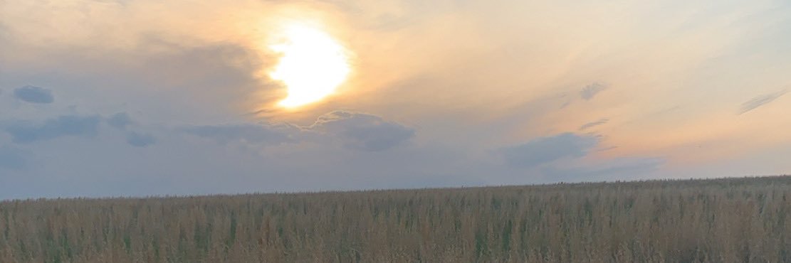 cjedele12's profile banner image