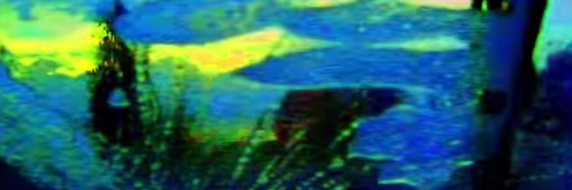 Pascal Gavillet banner