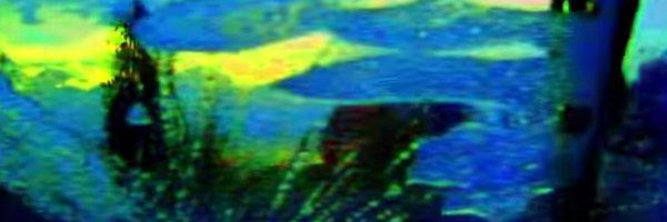 PascalGavillet Profile Banner