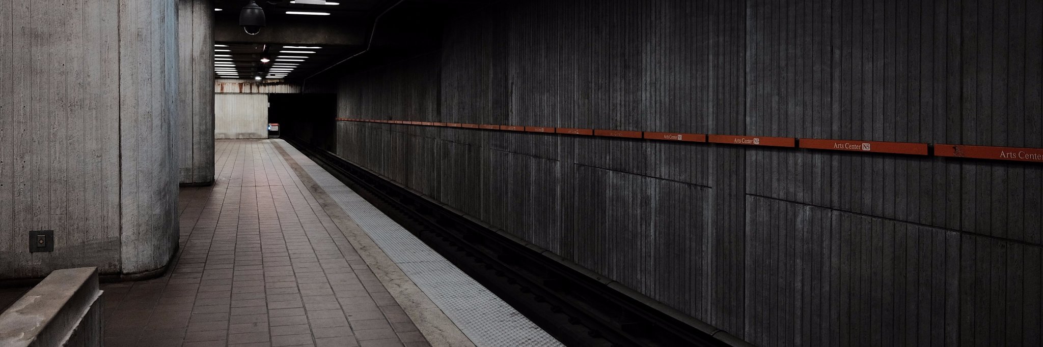 Treybacca's profile banner image