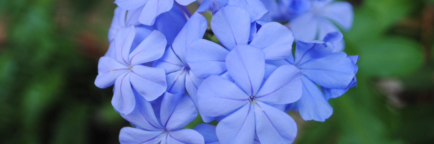 JustLouane14's profile banner image