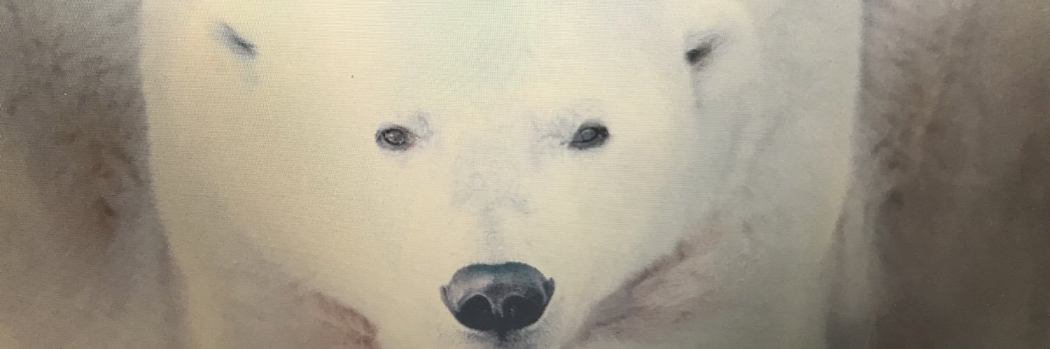 Tinnyfry's profile banner image