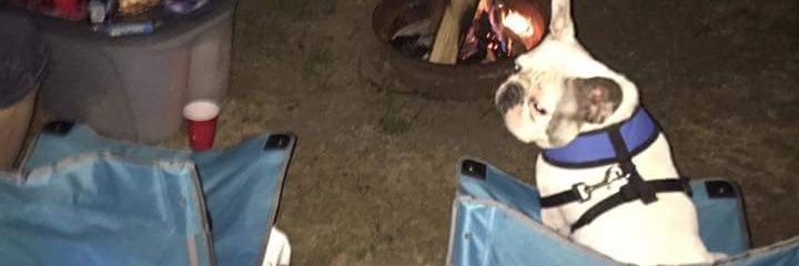 capercatfraser's profile banner image