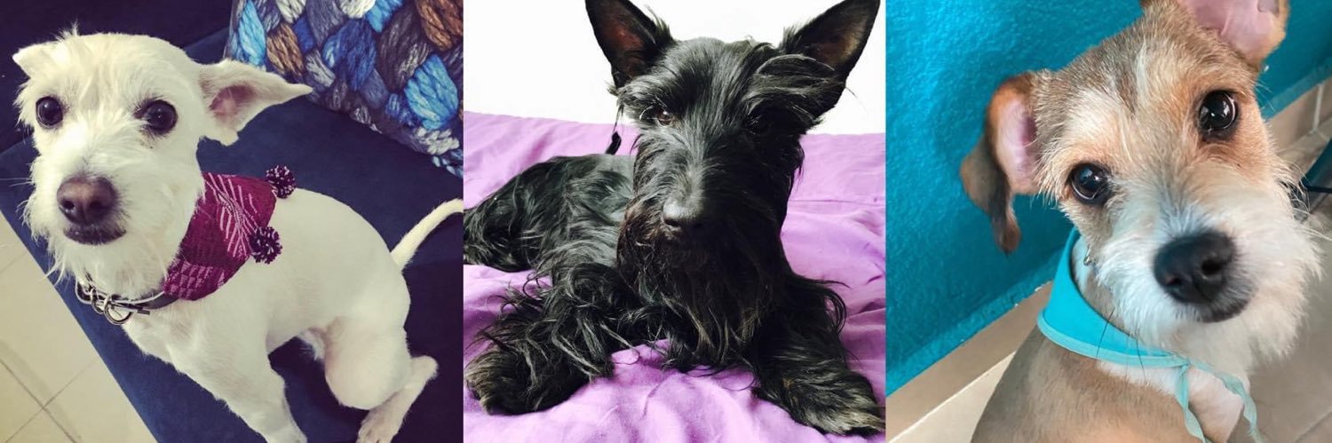 Eli Mendoza 🚀🪐✨ banner