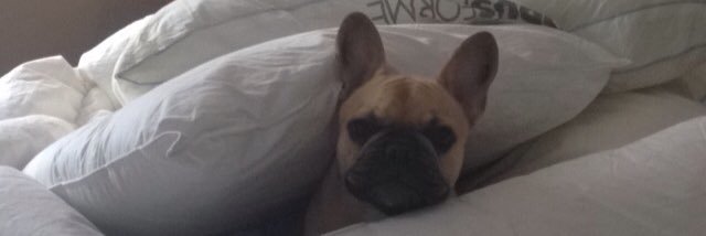 KerstenReid's profile banner image