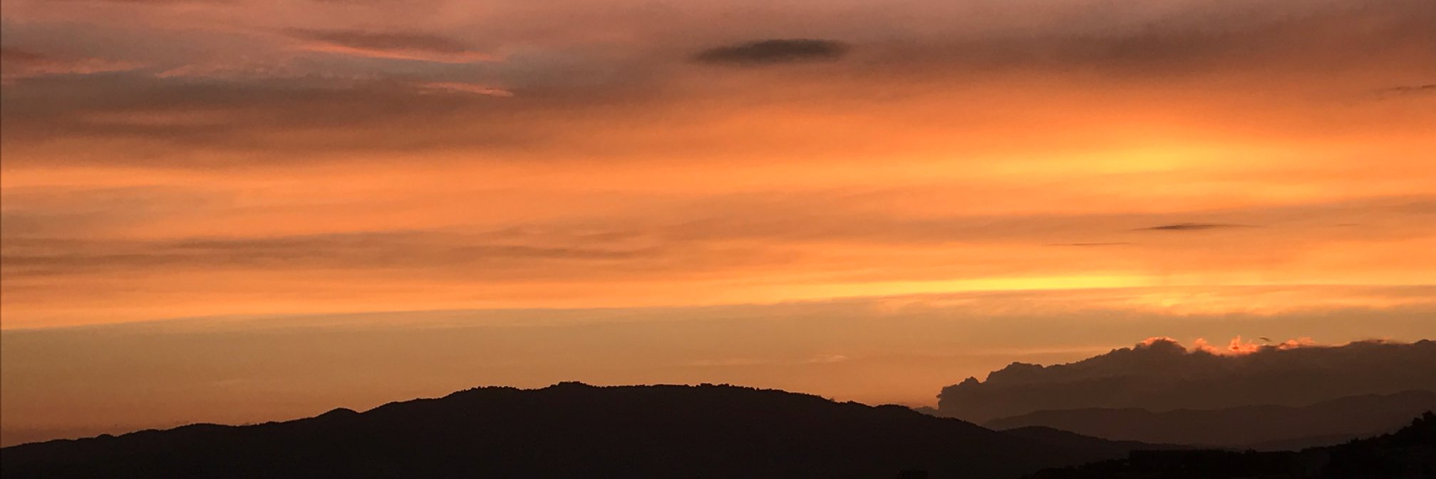 Danita Bowman banner