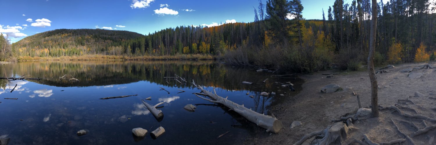 Taylor Strickland banner