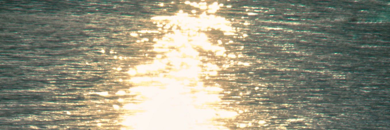ehDavid's profile banner image