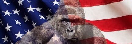 JimboSlice_1's profile banner image