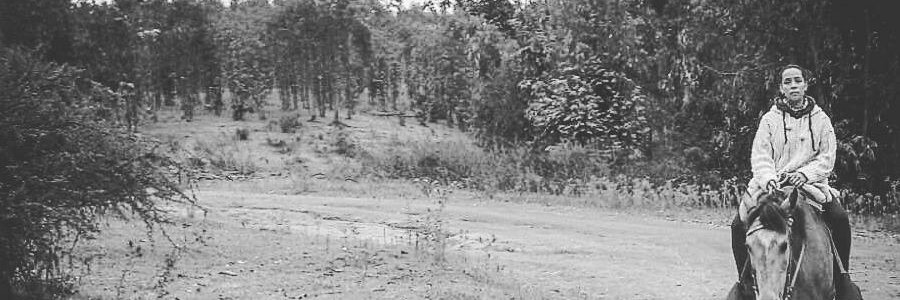 LaOtraSanchez's profile banner image