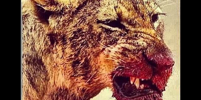 Thatguyrod_p's profile banner image