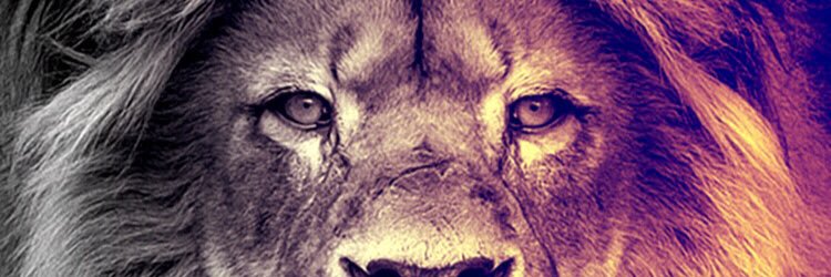 Johncordero15's profile banner image