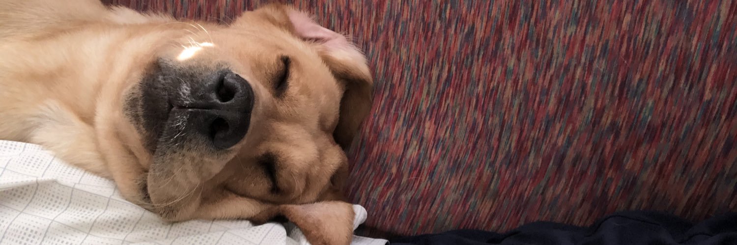 VinceSwenson's profile banner image