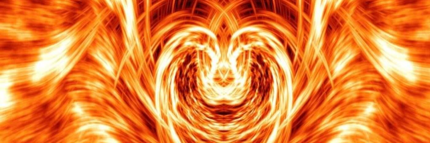 avefenix_81's profile banner image