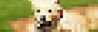 bennett2bean's profile banner image
