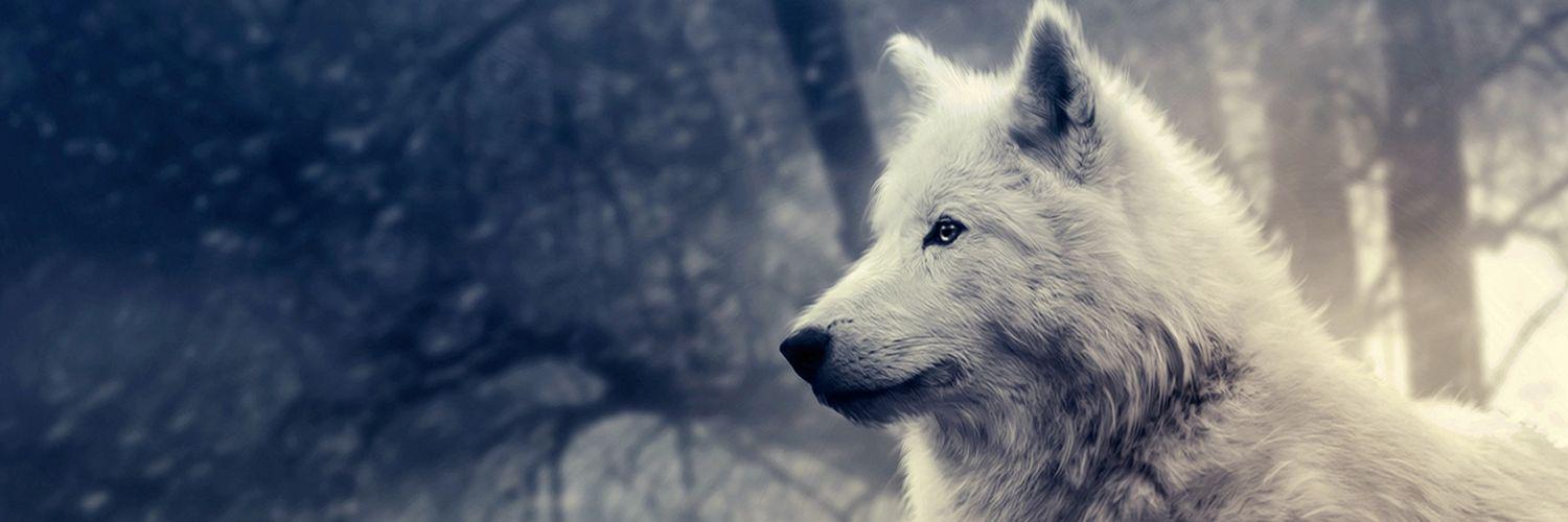 S3xyOverkill69's profile banner image