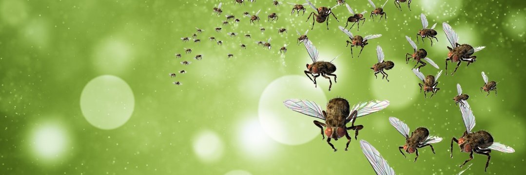 Easy_Pest's profile banner image
