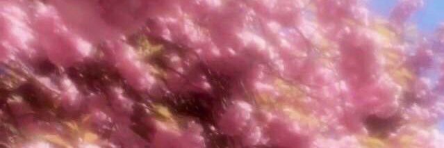 RemilynMonroe's profile banner image