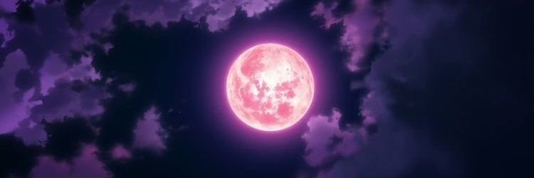 XBurn1104's profile banner image
