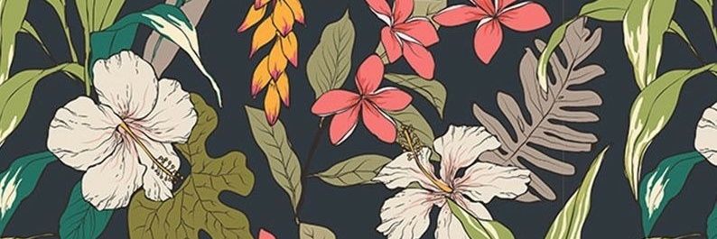 MagaRoca's profile banner image