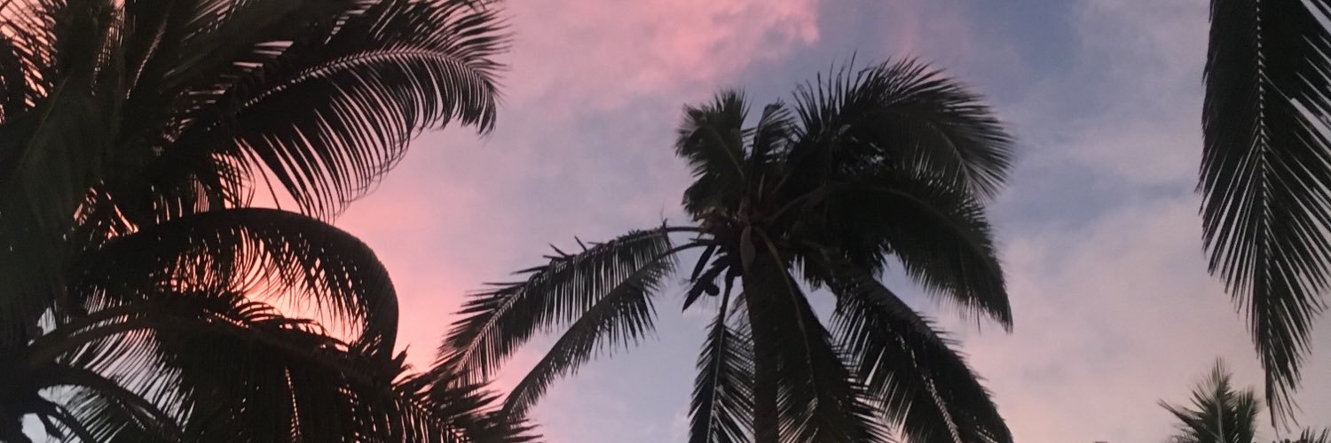 megrifa's profile banner image