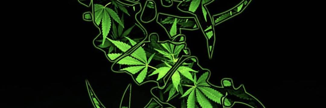 joanksk banner