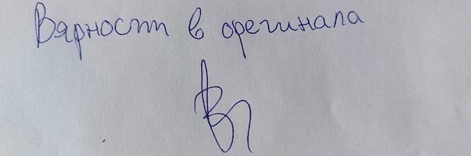 Stanimir Todorov 🪼 banner