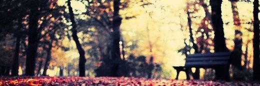 LAshel13's profile banner image