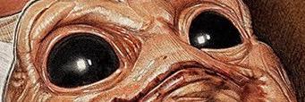 TunoBicho's profile banner image