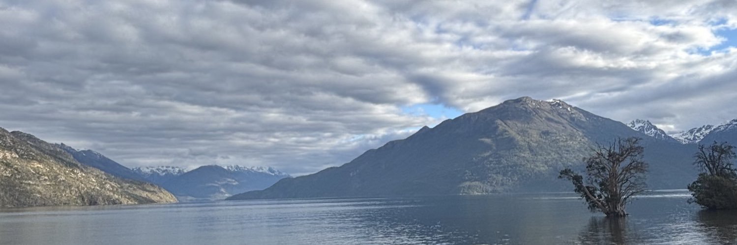 delatorrepali's profile banner image