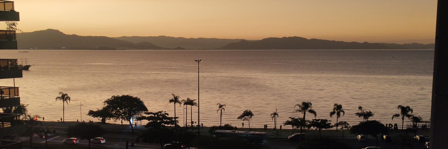 Andrea Brandão Lapa banner