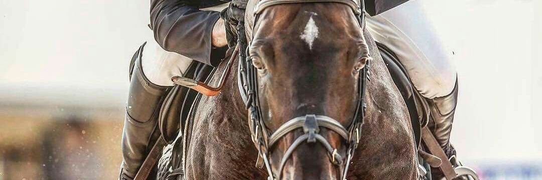nykkimitchell's profile banner image
