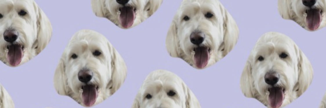 mads_smith32's profile banner image